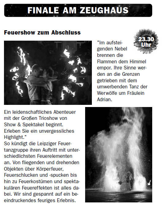 Nacht der Kulturen Schweinfurt Feuershowteil Feuershow Stadtfest