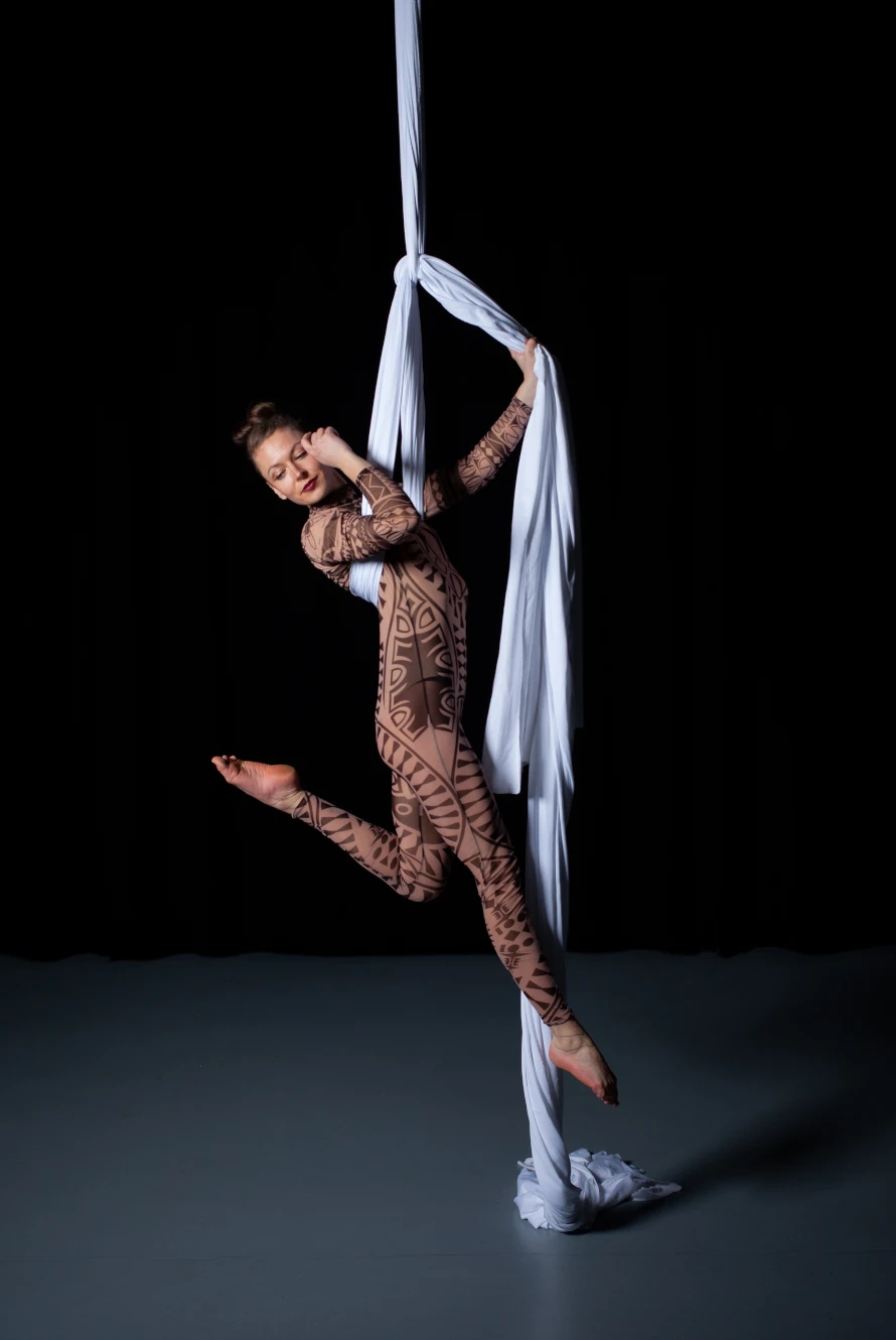 Aerial_Startseite SpecialActs_890x1330